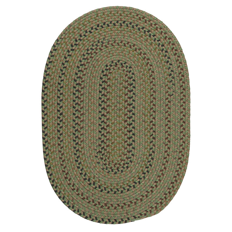 Red Barrel Studio® Nurseli Braided Green Rug Wayfair
